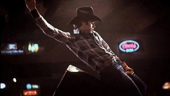 #24 Urban Cowboy