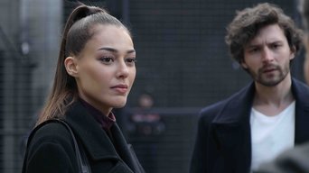 Episódio Episódio 23 da série Chamas do Destino