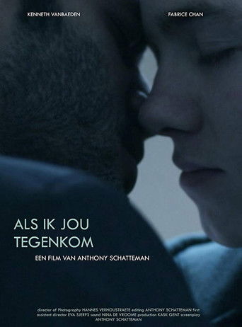Als ik jou tegenkom (2010)