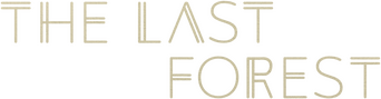 The Last Forest logo