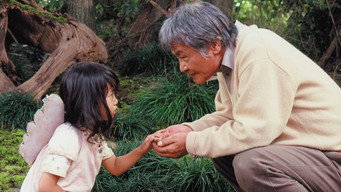 Довга прогулянка (2006)