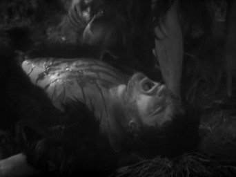 The Forest of Fear