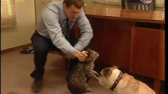 Episode 37 — Episode 37