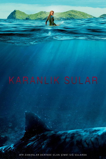 Poster 6