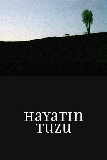 Hayatın Tuzu