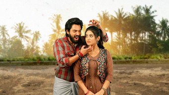 Bhoothaddam Bhaskar Narayana (2024)