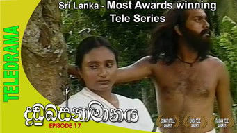 Episode 17 — Episode 17