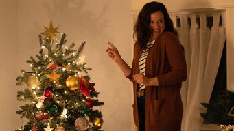 #12 Christmas Takes Flight
