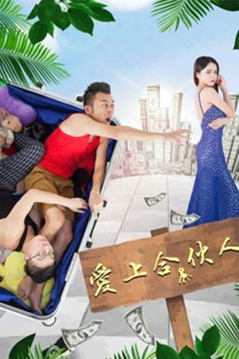 爱上合伙人 poster