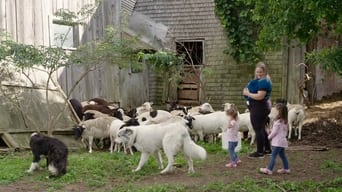 La famille est dans le pré - 2x01