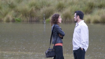 The Kidnapping (2007)