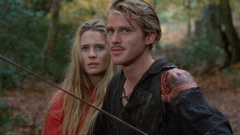 The Princess Bride backdrop 1