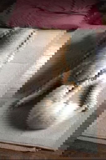 Hopper meets Venkman (2014)