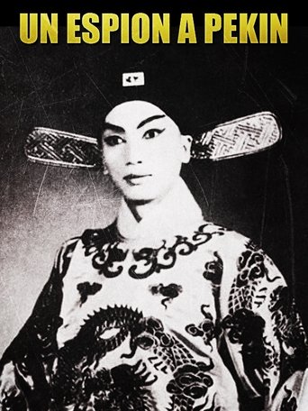 Un espion à Pékin (2013)