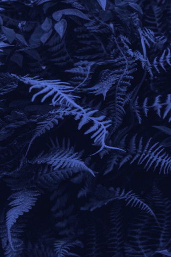 Elastic Jungle poster