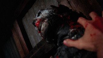 #4 The Child