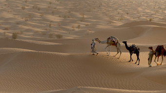 Africa's Hidden Wonders (2020)