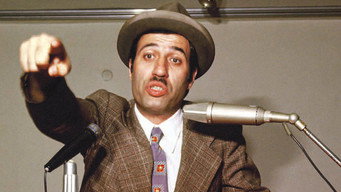 Zübük (1980)