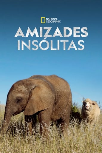 Amizades Improváveis Entre Animais