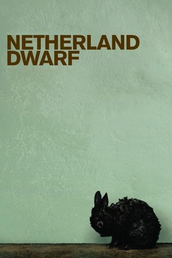 Poster för Netherland Dwarf