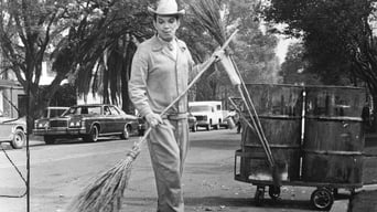 Galeria 1 - El barrendero