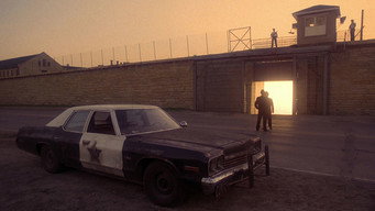 The Blues Brothers backdrop 2