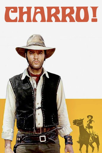 Charro! poster 3