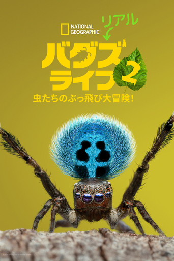 シーズン2 poster