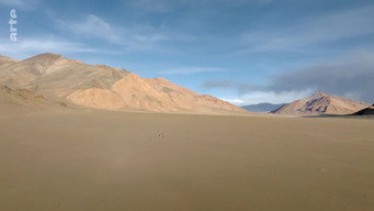 #26 Destination Wild: India