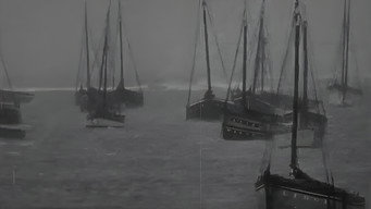 #4 The Sea of Ravens