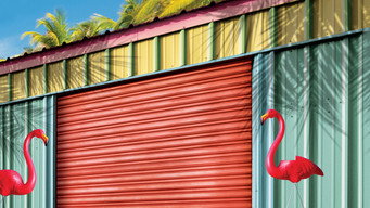 Storage Wars: Miami (2015)