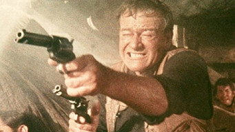Still 8 from The Sons of Katie Elder