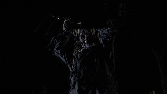 #9 Scarecrows