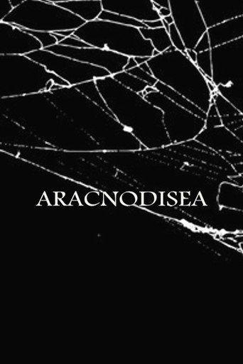Aracnodisea galeri 1