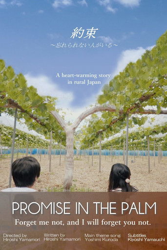 Promise in the Palm poster