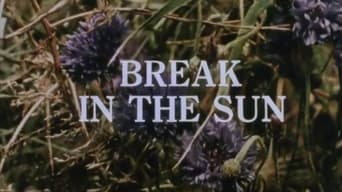 Break in the Sun (1981)