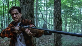 Galeria 4 - The Shed