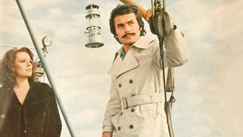 Bir Araya Gelemeyiz (1975)