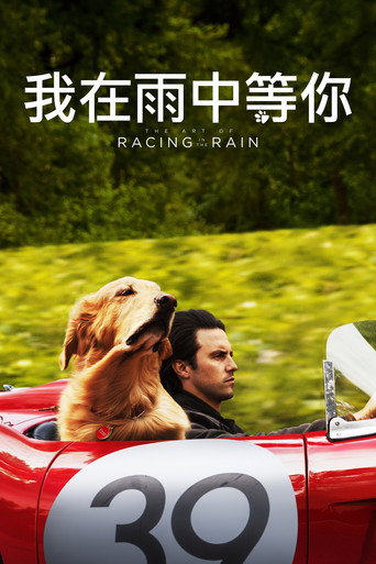 我在雨中等你