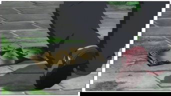 Episode 23
