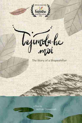 I Am Tejimola poster