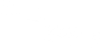 The Toll logo