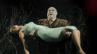 Plan 9 from Outer Space backdrop 8