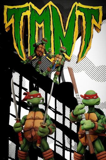 Cartell de Ninja Turtles In the Shadows Trail
