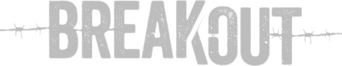 Breakout logo