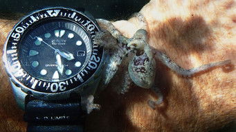 Galeria 4 - Lo que el pulpo me enseñó