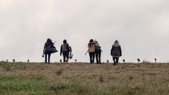 The Walking Dead