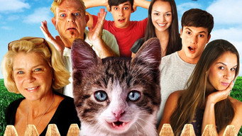 #4 A Talking Cat!?!