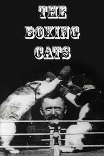 The Boxing Cats (Prof. Welton's)