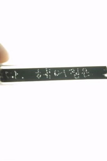 Dear.Picaresque poster